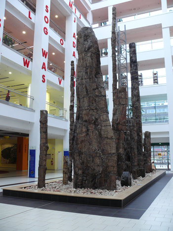 Tietz Chemnitz - fossilized trees 