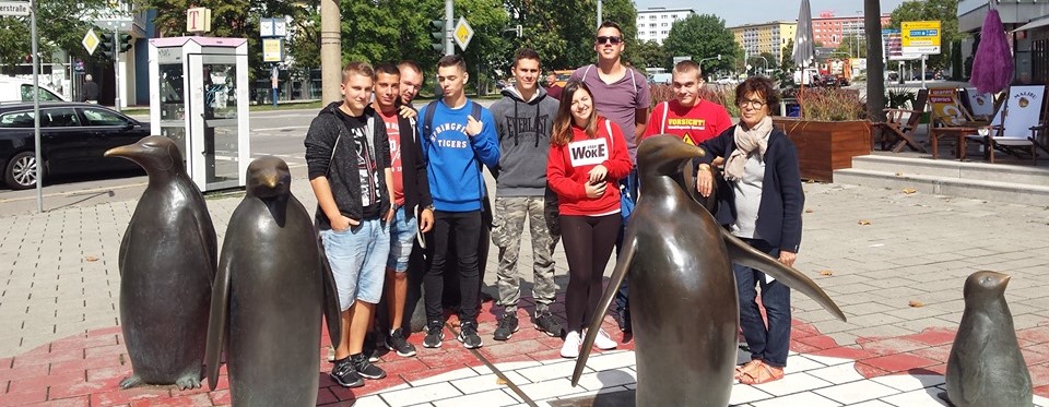 The group with the penguins